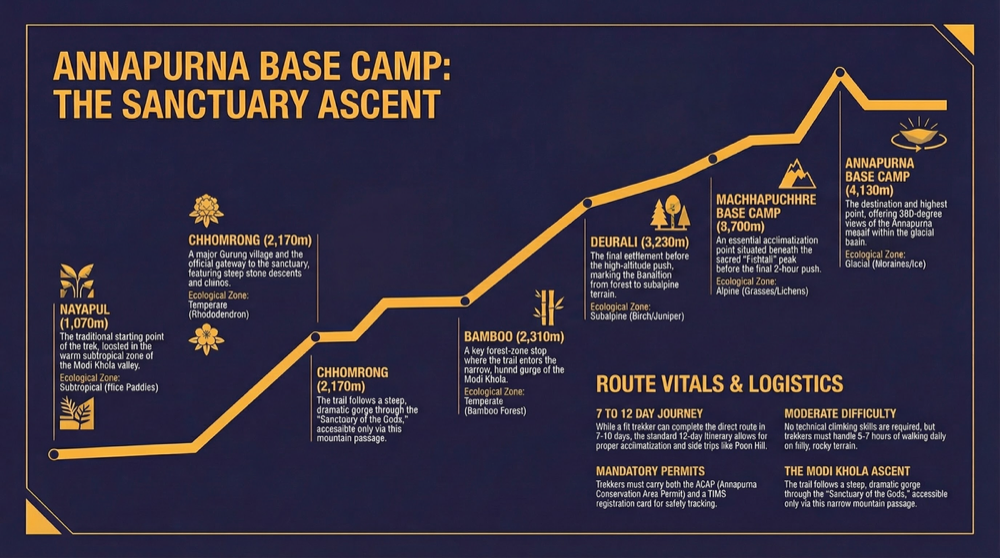 Annapurna Base Camp trek elevation profile